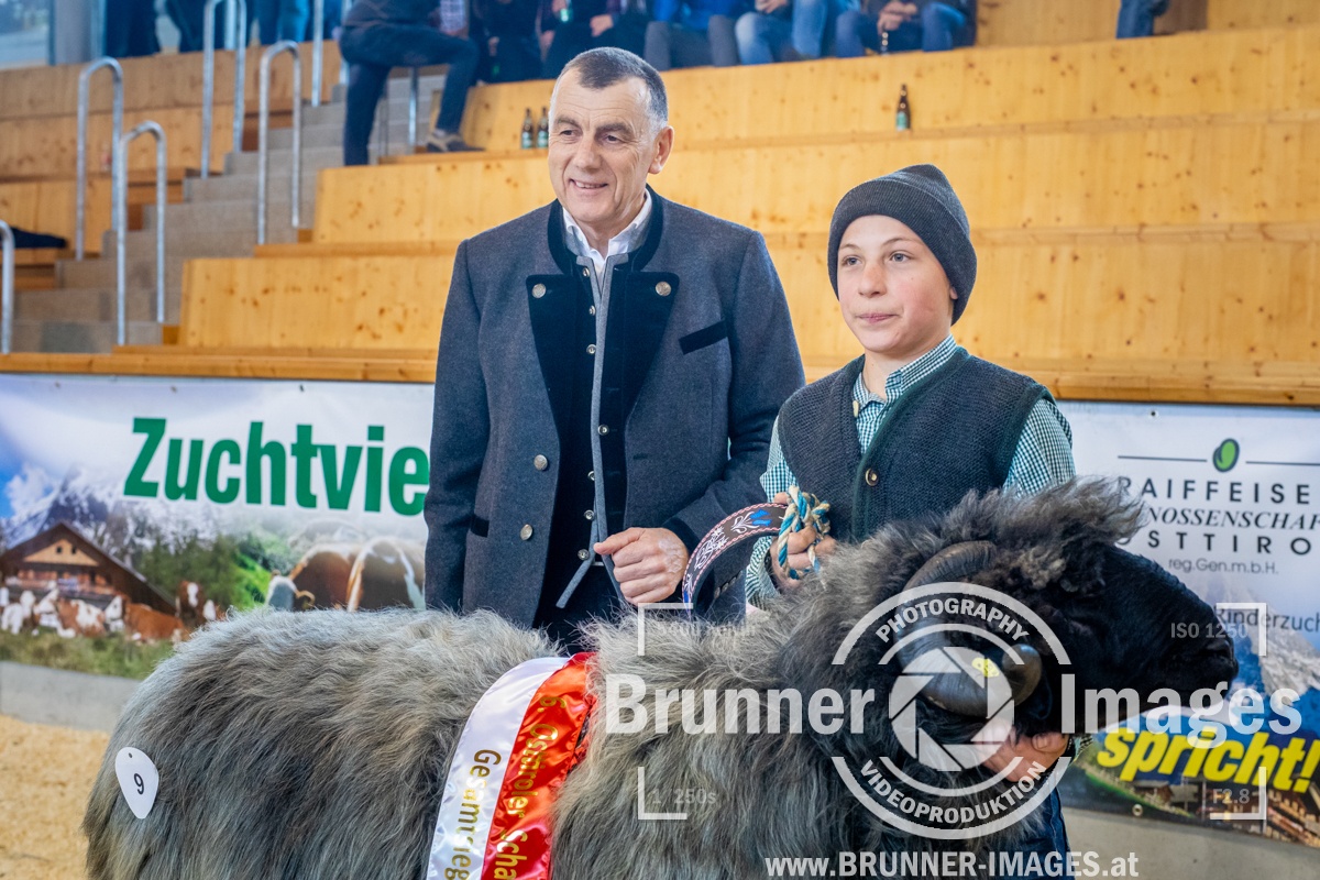 29.02.2020 - 6. Osttiroler Jungzüchter Schaf-Ausstellung - Lienz